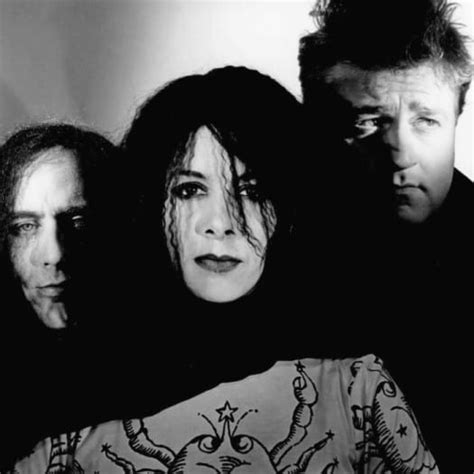 concrete blonde wikipedia|More.